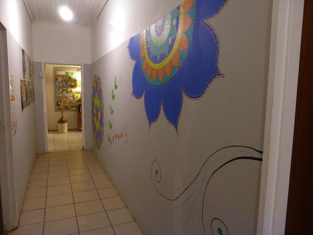 Orange Elephant Backpackers Hostel Addo Bagian luar foto
